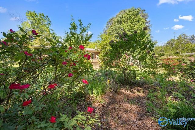 2417 Sunset Strip, Gadsden, AL 35904