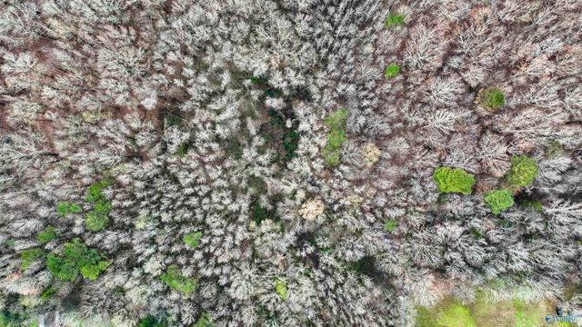 294-A Welcome Home Village Road, Toney, AL 35773