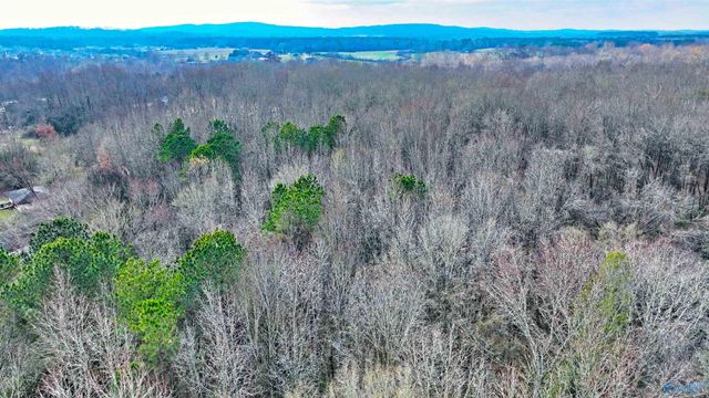 294-A Welcome Home Village Road, Toney, AL 35773