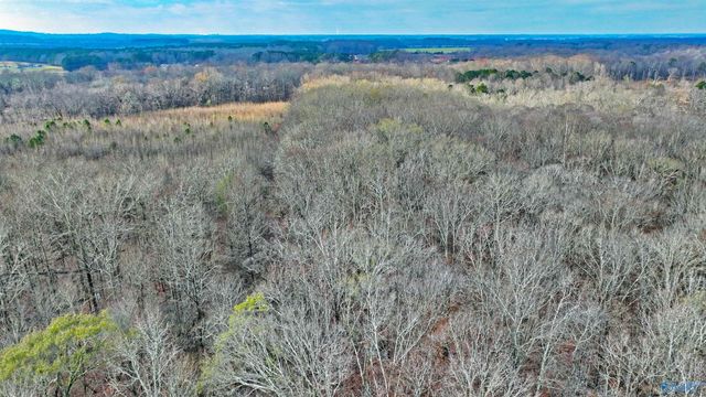 294-A Welcome Home Village Road, Toney, AL 35773