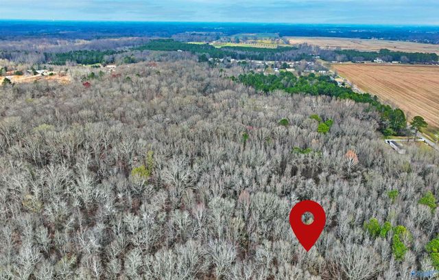 294-A Welcome Home Village Road, Toney, AL 35773