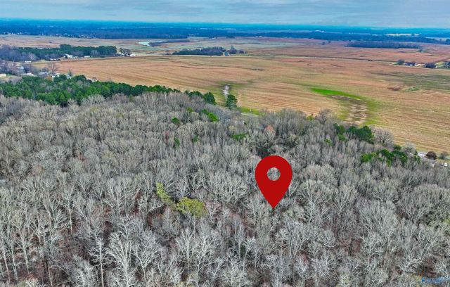 294-A Welcome Home Village Road, Toney, AL 35773