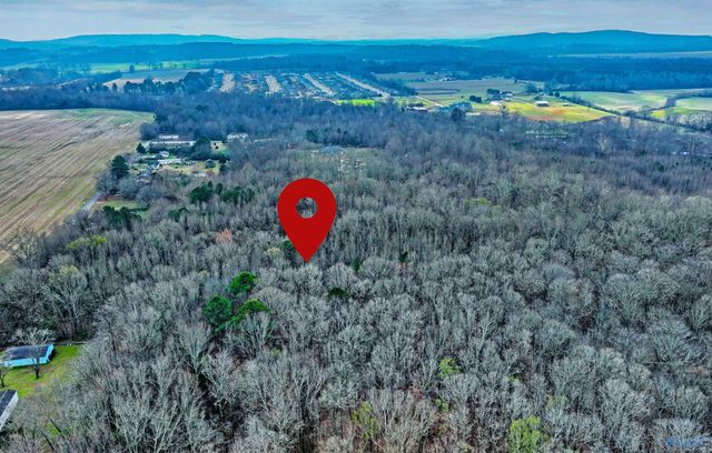 294-A Welcome Home Village Road, Toney, AL 35773