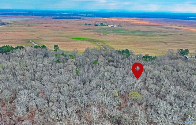 294-A Welcome Home Village Road, Toney, AL 35773