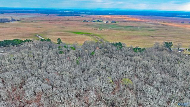 294-A Welcome Home Village Road, Toney, AL 35773