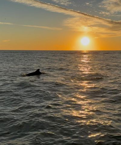 3575 GULF BOULEVARD 105, St Pete Beach, FL 33706