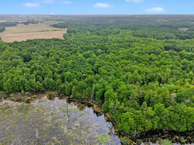 4791 E Fox Road, Elbridge Twp, MI 49420