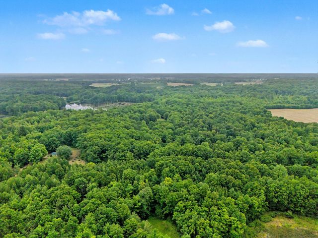4791 E Fox Road, Elbridge Twp, MI 49420
