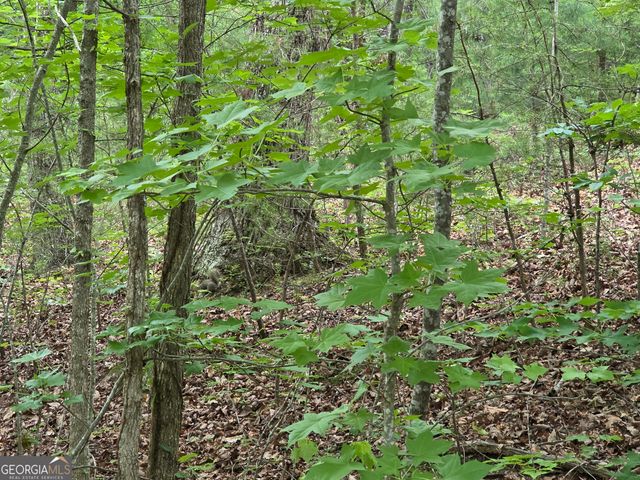 2 LOTS Oak Forest, Clarkesville, GA 30523