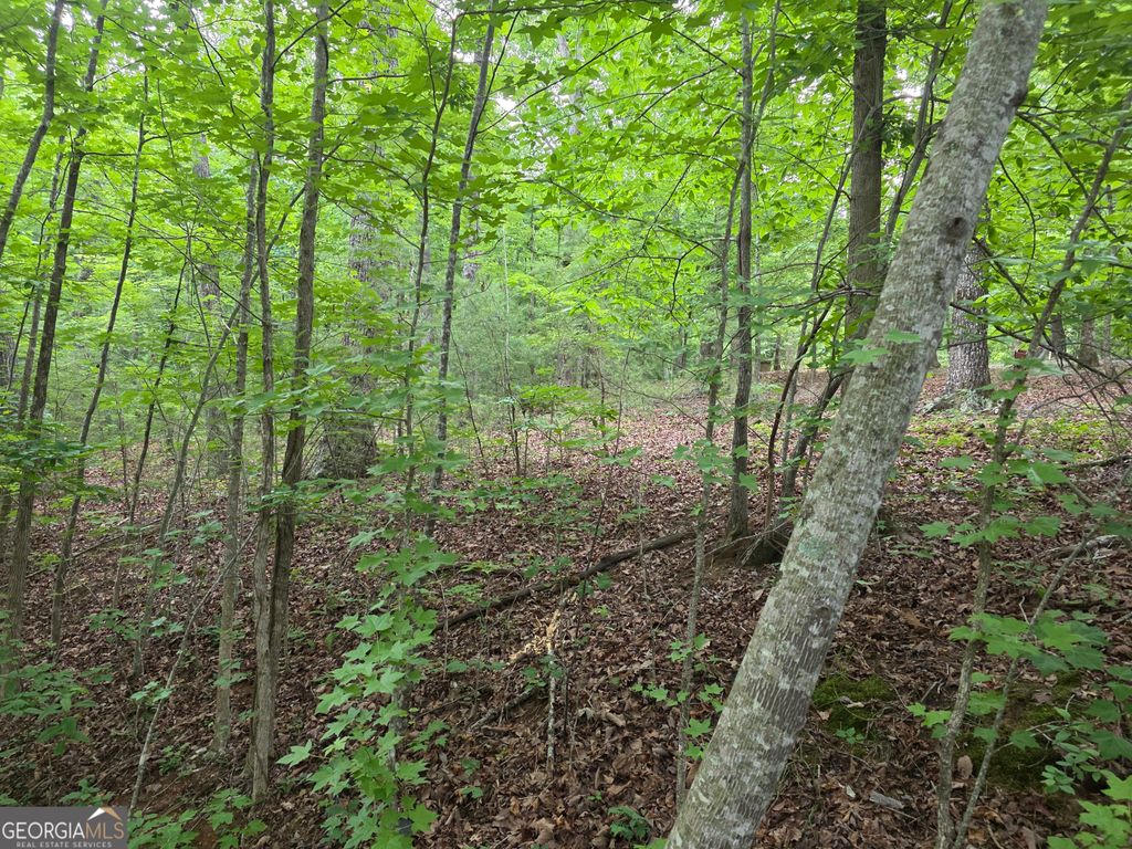 2 LOTS Oak Forest, Clarkesville, GA 30523
