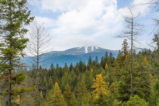 36022 N Milan-Elk Rd, Chattaroy, WA 99003