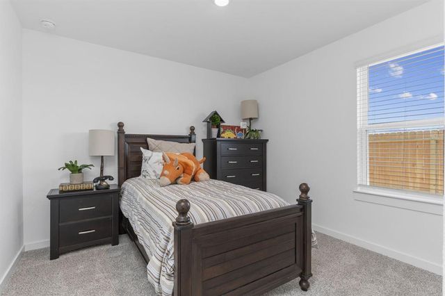 2507 Rose Gold Drive, Iowa Colony, TX 77583