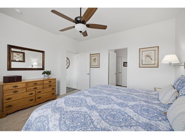 735 Camberly Dr, Windsor, CO 80550