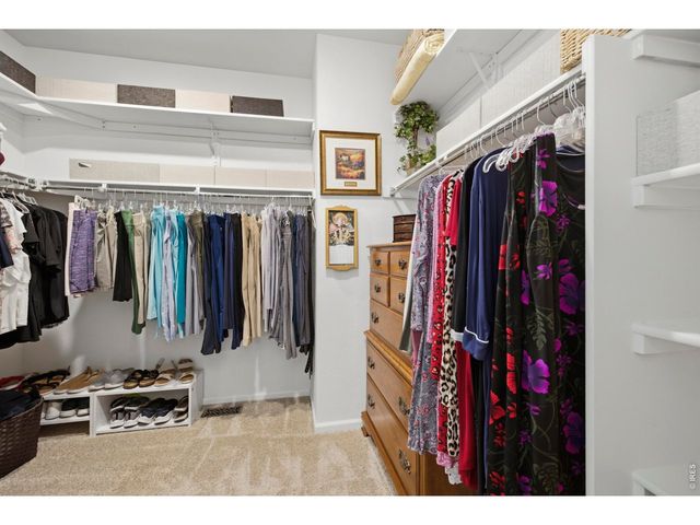 735 Camberly Dr, Windsor, CO 80550