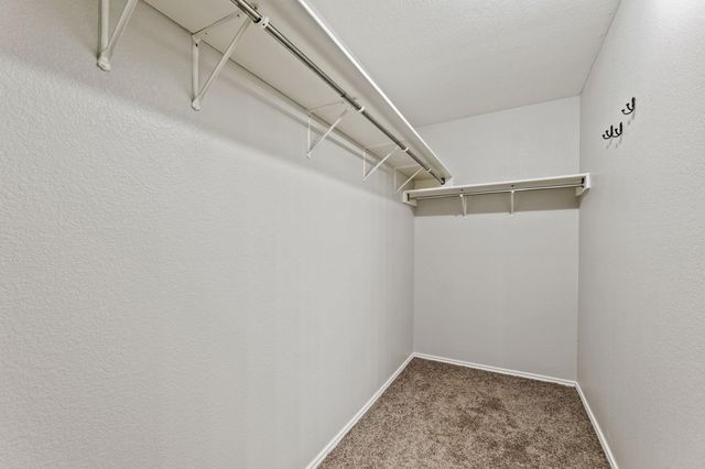 1308 Water Spaniel WAY, Round Rock, TX 78664