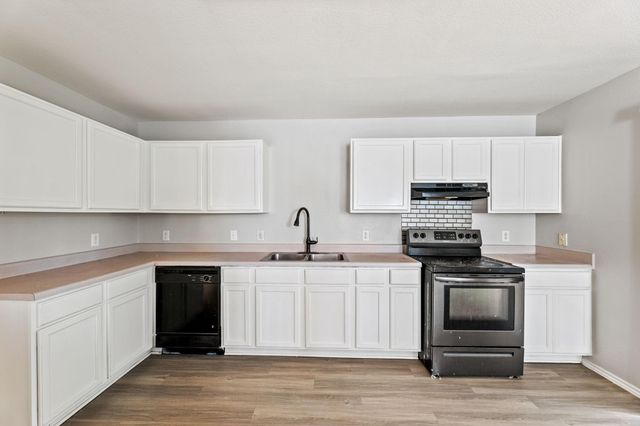 1308 Water Spaniel WAY, Round Rock, TX 78664