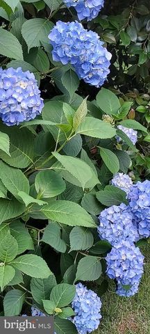 7410 DAKOTA AVE, Chesapeake Beach, MD 20732