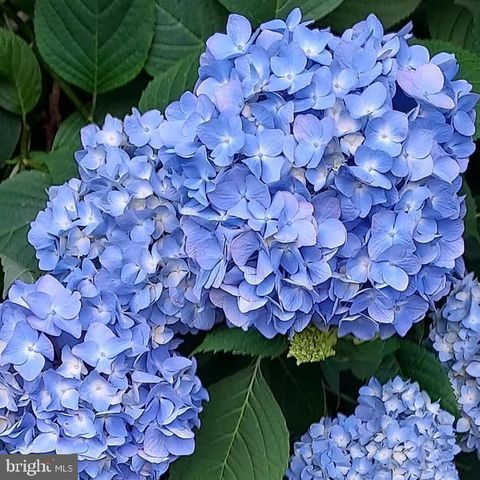 7410 DAKOTA AVE, Chesapeake Beach, MD 20732