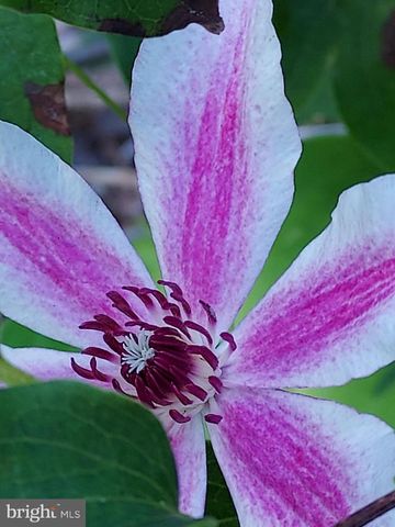 7410 DAKOTA AVE, Chesapeake Beach, MD 20732