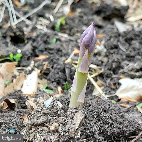 7410 DAKOTA AVE, Chesapeake Beach, MD 20732