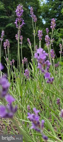 7410 DAKOTA AVE, Chesapeake Beach, MD 20732