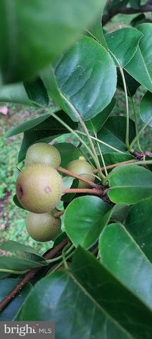 7410 DAKOTA AVE, Chesapeake Beach, MD 20732