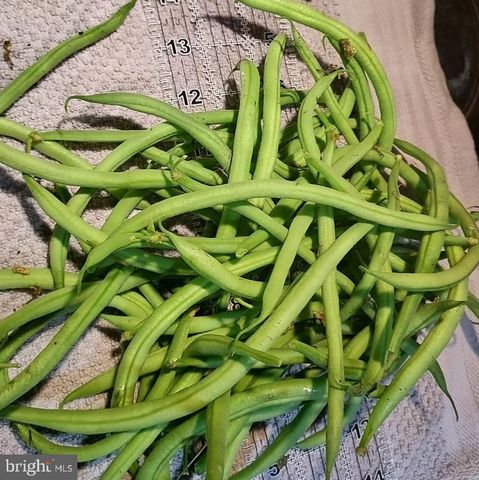 7410 DAKOTA AVE, Chesapeake Beach, MD 20732