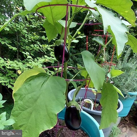 7410 DAKOTA AVE, Chesapeake Beach, MD 20732