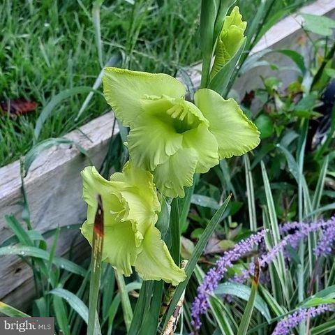 7410 DAKOTA AVE, Chesapeake Beach, MD 20732