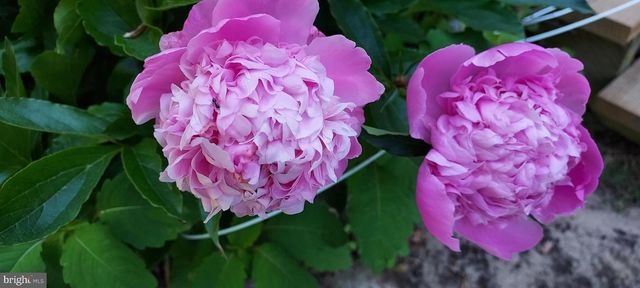 7410 DAKOTA AVE, Chesapeake Beach, MD 20732