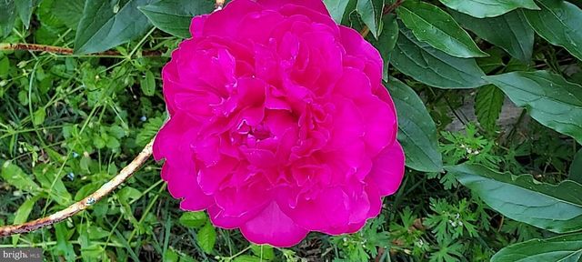 7410 DAKOTA AVE, Chesapeake Beach, MD 20732