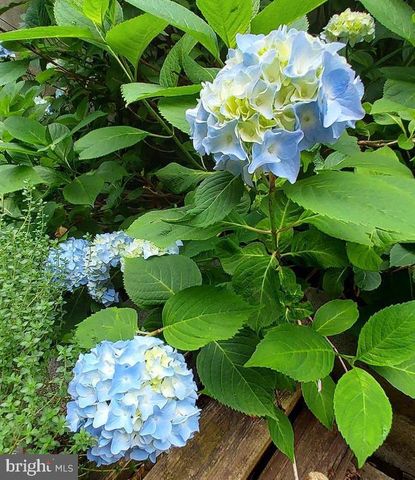 7410 DAKOTA AVE, Chesapeake Beach, MD 20732