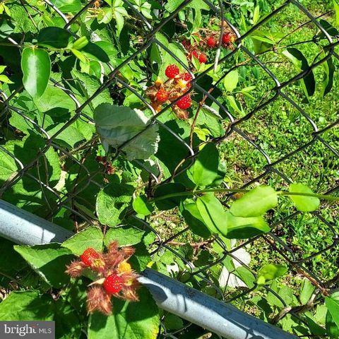 7410 DAKOTA AVE, Chesapeake Beach, MD 20732