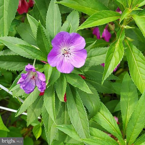 7410 DAKOTA AVE, Chesapeake Beach, MD 20732