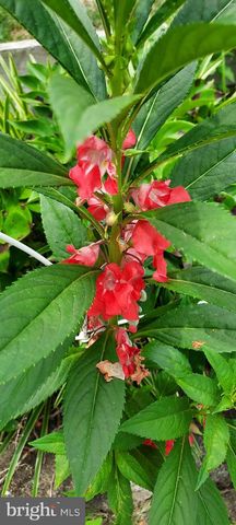 7410 DAKOTA AVE, Chesapeake Beach, MD 20732