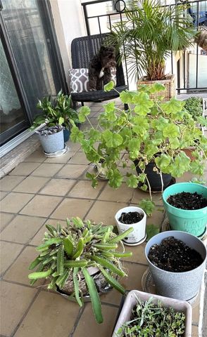 31-35 31ST Street 516, Astoria, NY 11106