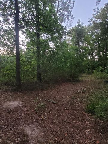 15778 Hayden Road, Conroe, TX 77306