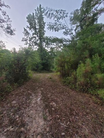 15778 Hayden Road, Conroe, TX 77306
