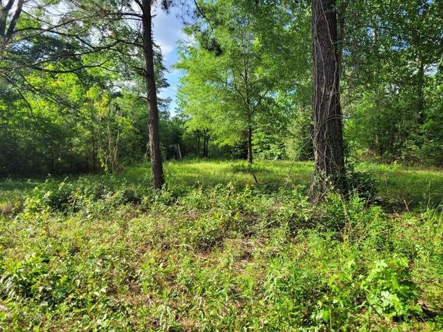 15778 Hayden Road, Conroe, TX 77306