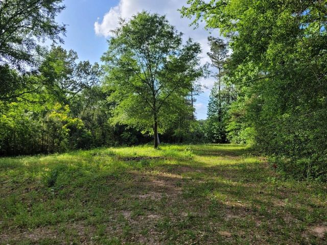 15778 Hayden Road, Conroe, TX 77306