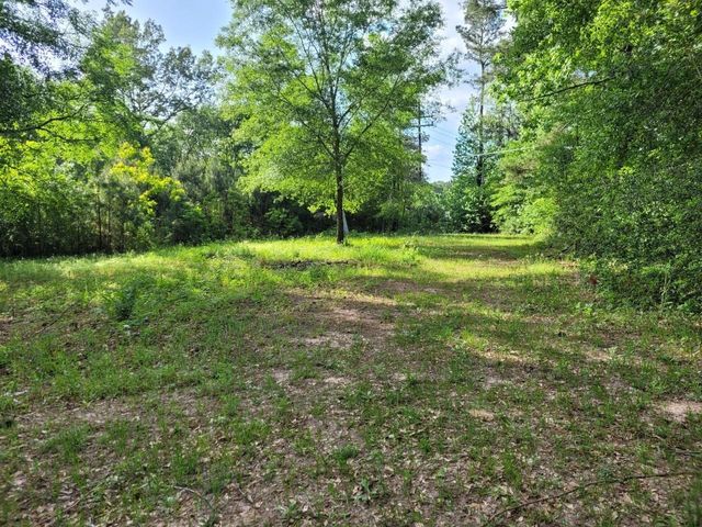 15778 Hayden Road, Conroe, TX 77306