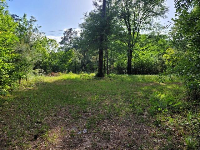 15778 Hayden Road, Conroe, TX 77306