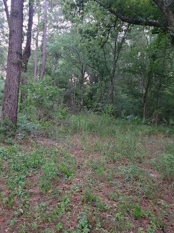 15778 Hayden Road, Conroe, TX 77306