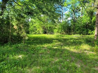 15778 Hayden Road, Conroe, TX 77306