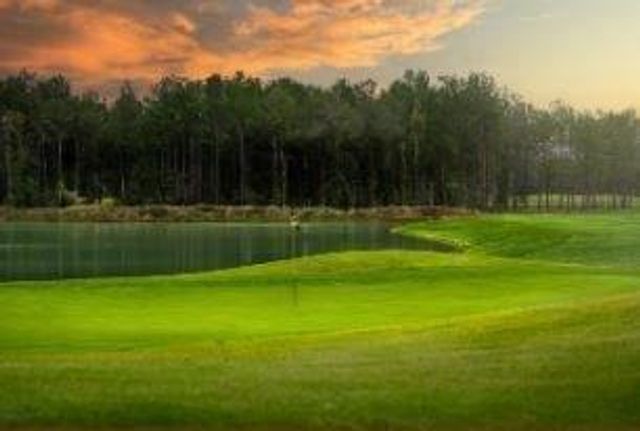 22218 Junction Peak Drive, Porter, TX 77365