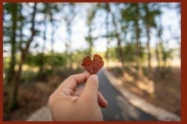 22218 Junction Peak Drive, Porter, TX 77365