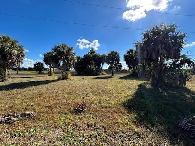 16260 JUAREZ COURT, Punta Gorda, FL 33955