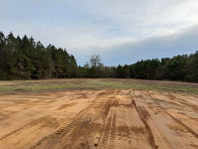 460 Reeves Farm Road, Saint George, SC 29477