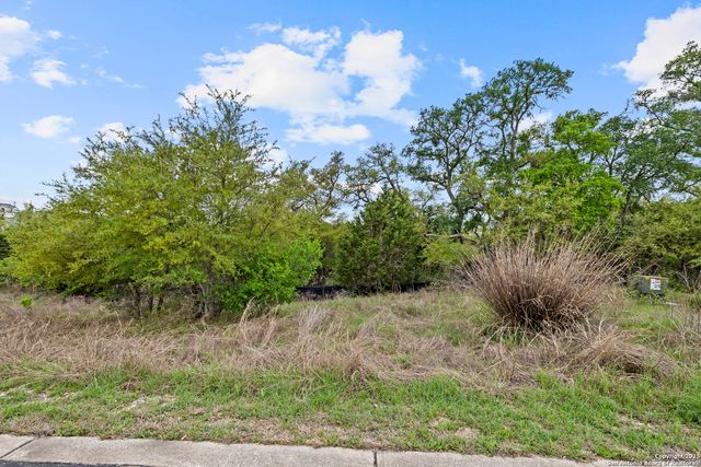 1324 Pinot Grigio, New Braunfels, TX 78132