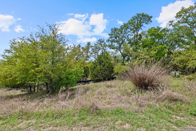1324 Pinot Grigio, New Braunfels, TX 78132